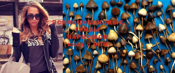 молекула духа Зерноград